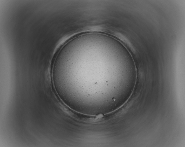 X0000111131176200907071012