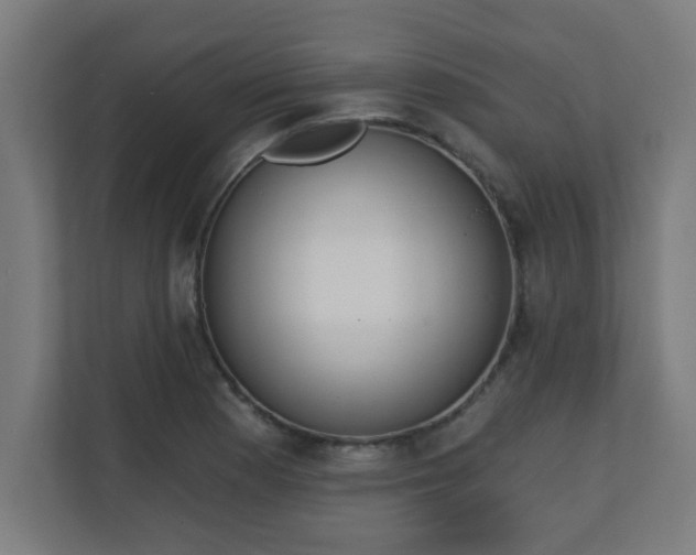 X0000111131177200907071012