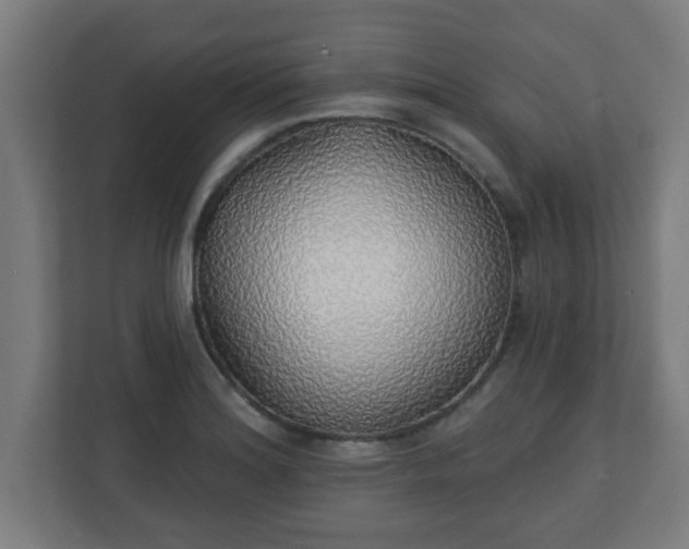 X0000111131180200907071011