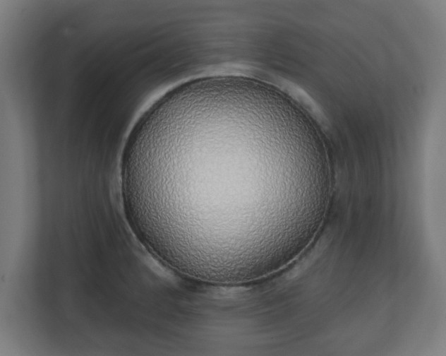 X0000111131184200907071011