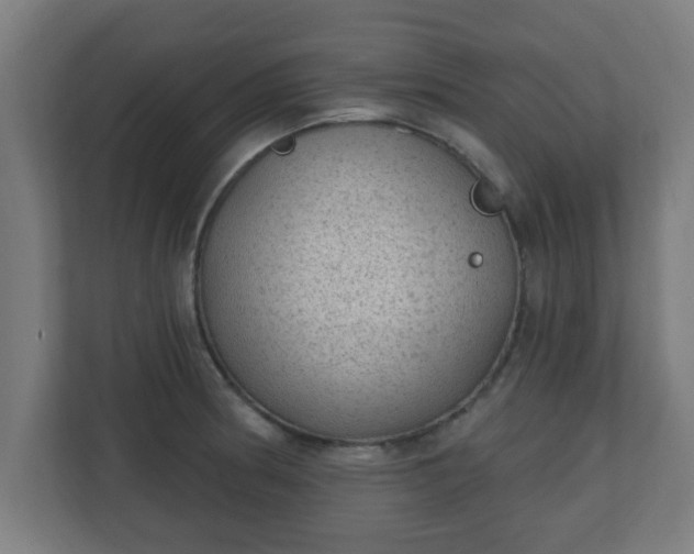 X0000111131186200907071011