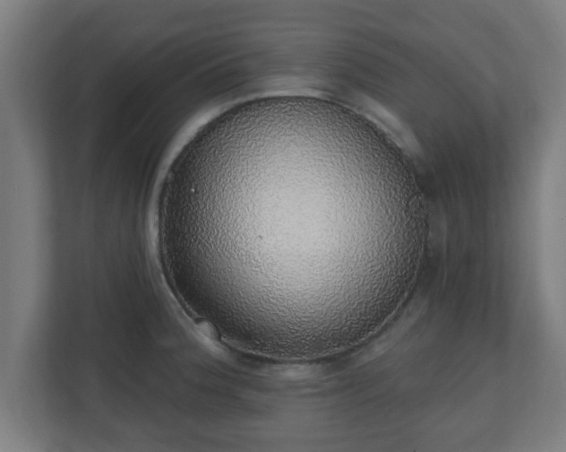 X0000111131188200907071011