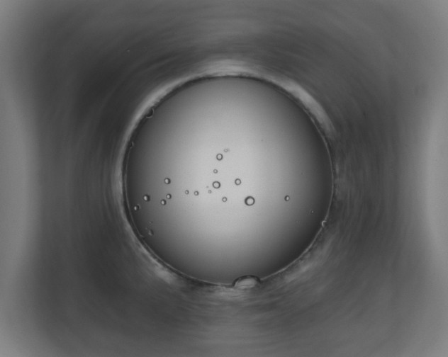 X0000111131191200907071011
