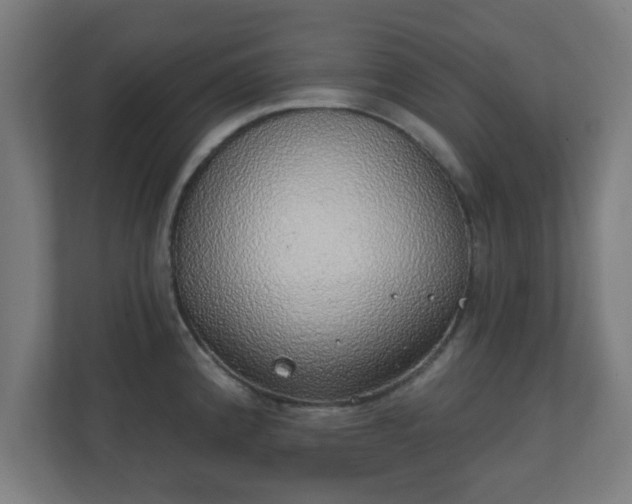 X0000111131192200907071011