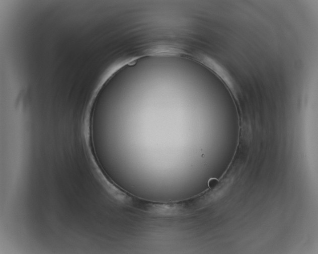 X0000111131195200907071011