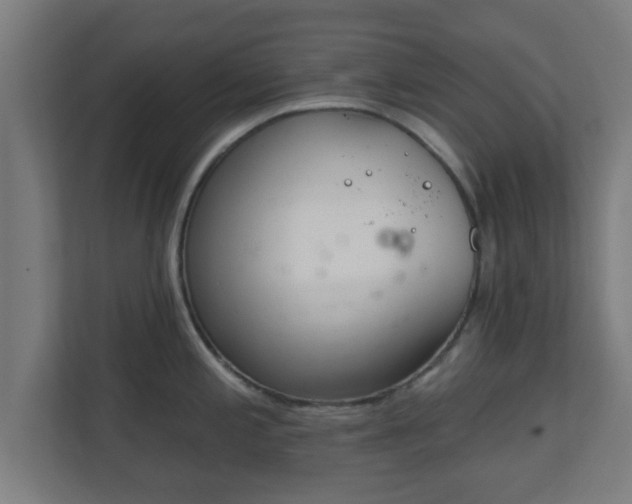 X0000111131197200907071011