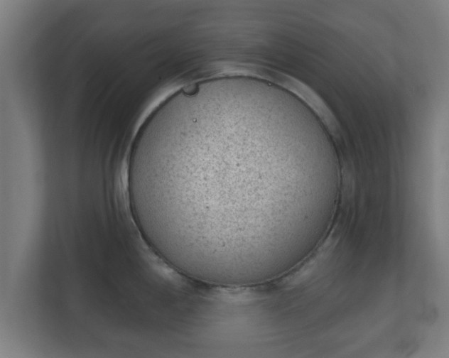X0000111131198200907071011