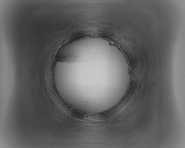 X0000111131201200907071011