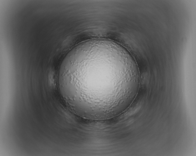 X0000111131202200907071011