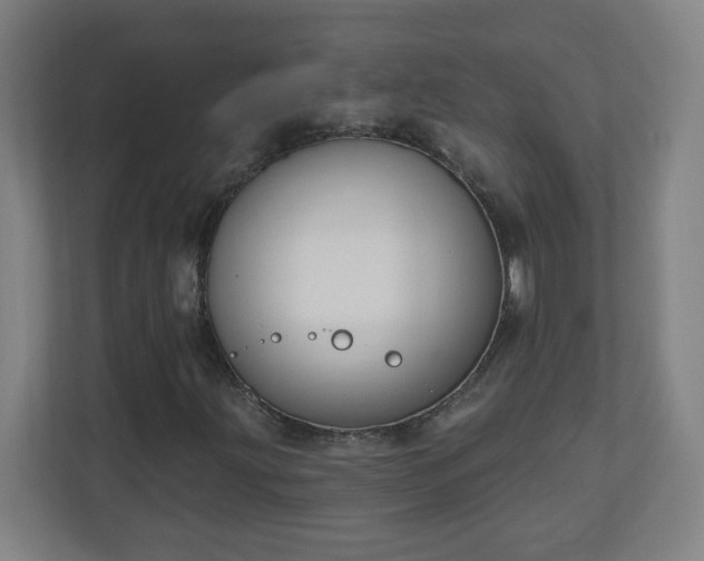 X0000111131203200907071011