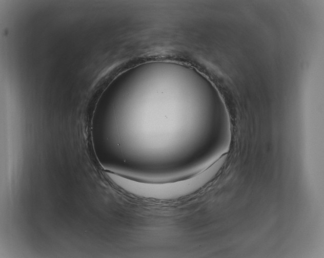 X0000111131206200907071011