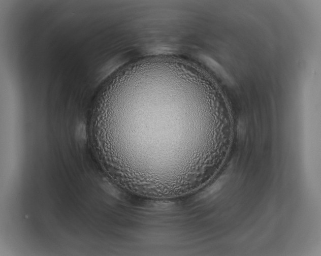X0000111131209200907071011