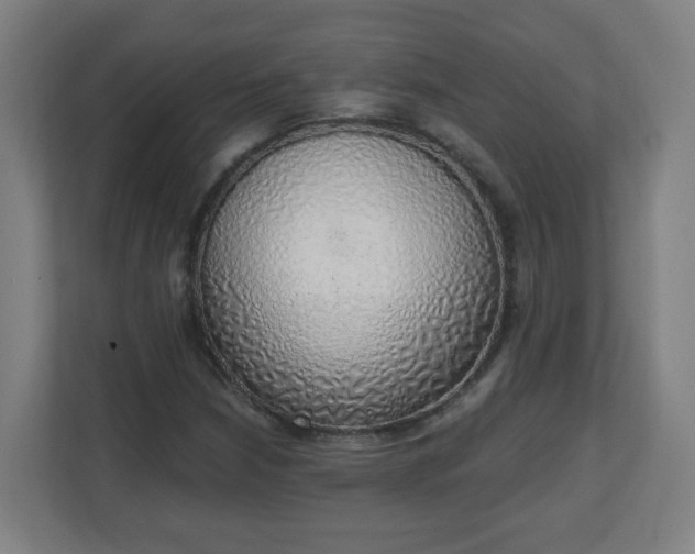 X0000111131210200907071011