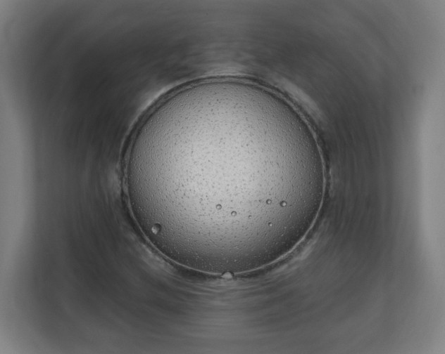 X0000111131212200907071011