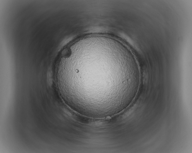 X0000111131213200907071011