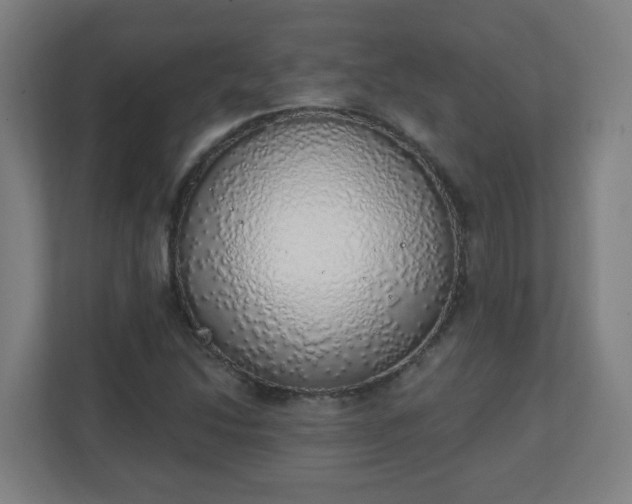 X0000111131214200907071011