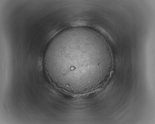 X0000111131217200907071011