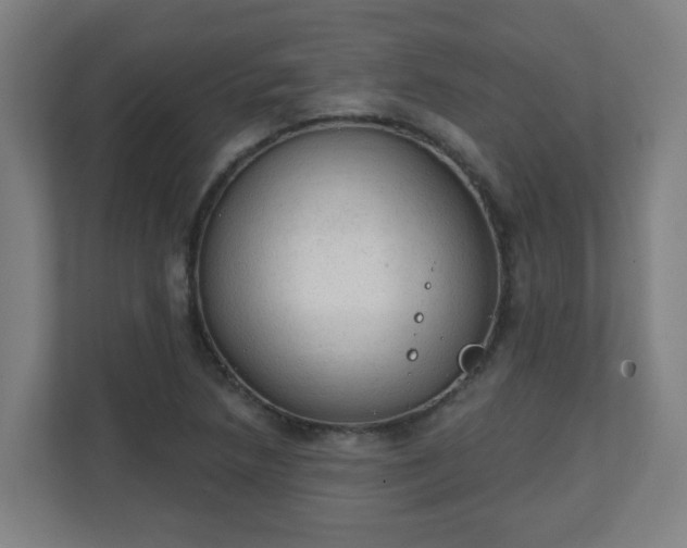 X0000111131218200907071011