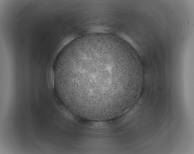 X0000111131219200907071011