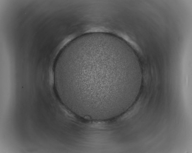 X0000111131221200907071011