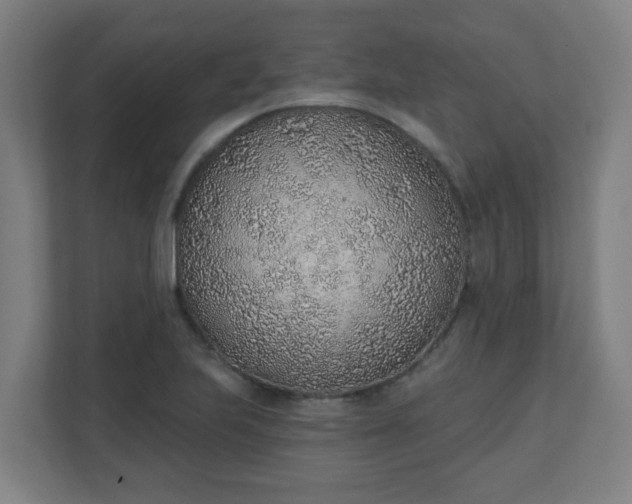 X0000111131223200907071011