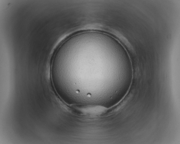 X0000111131224200907071011