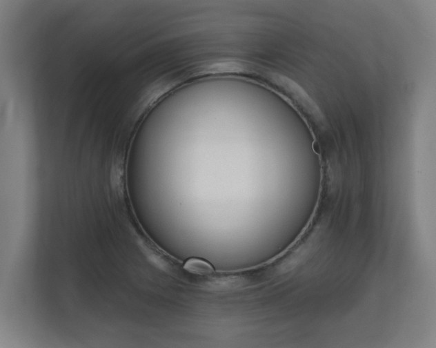 X0000111131225200907071011