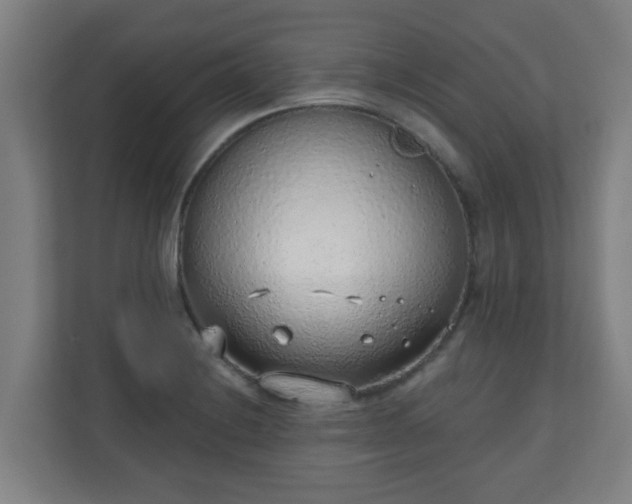 X0000111131228200907071011