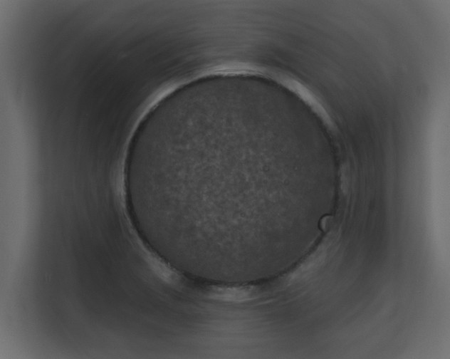 X0000111131229200907071011