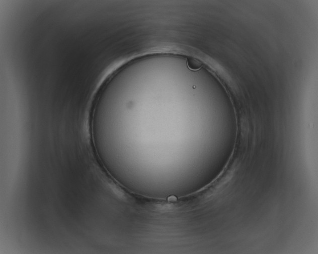 X0000111131230200907071011