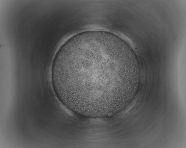 X0000111131231200907071011