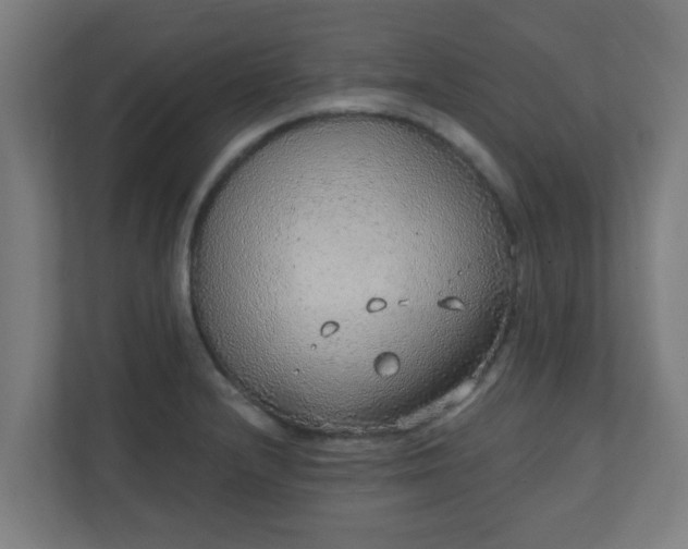 X0000111131232200907071011