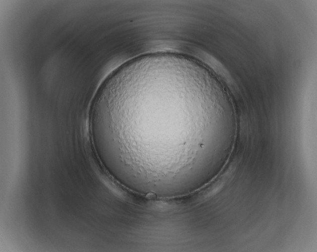 X0000111131234200907071011