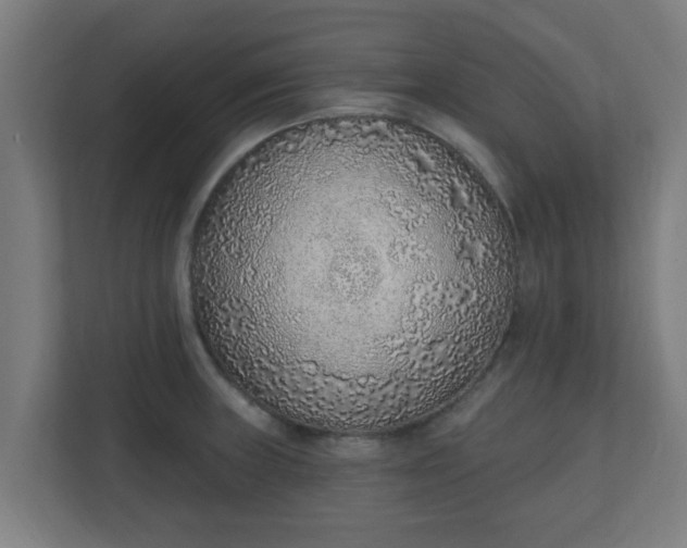 X0000111131235200907071011