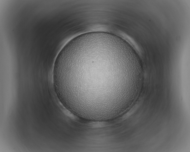 X0000111131236200907071011