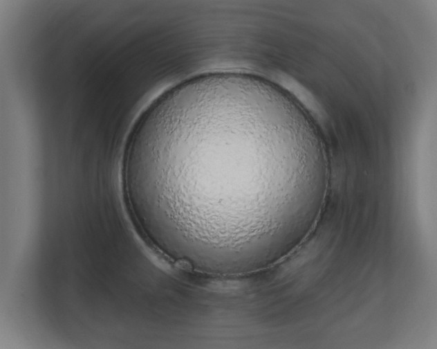 X0000111131237200907071011