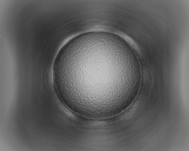 X0000111131238200907071011