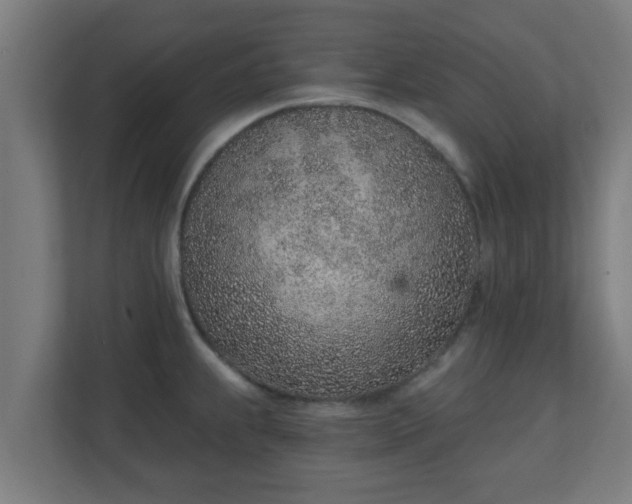 X0000111131239200907071011