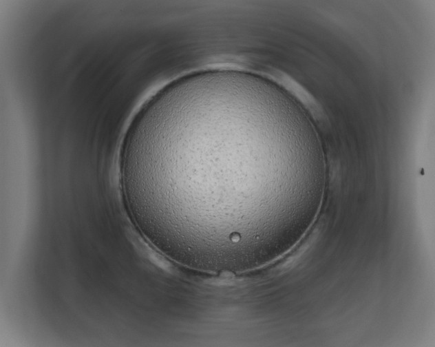 X0000111131240200907071011