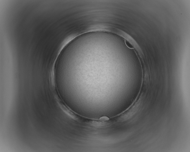 X0000111131242200907071011