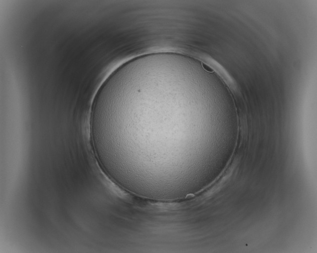 X0000111131244200907071011