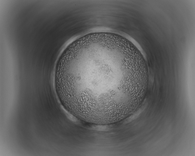X0000111131245200907071011