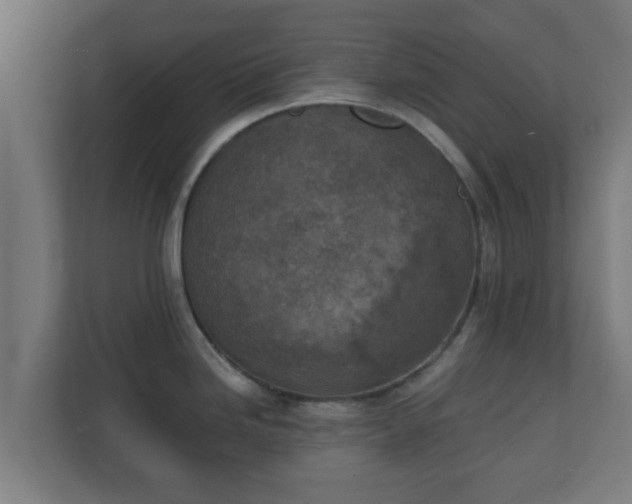 X0000111131246200907071011
