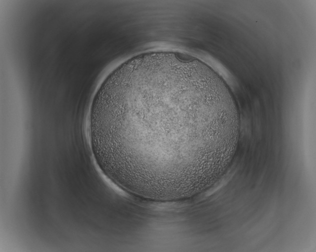 X0000111131247200907071011