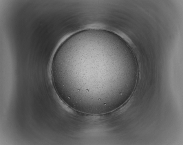 X0000111131248200907071011