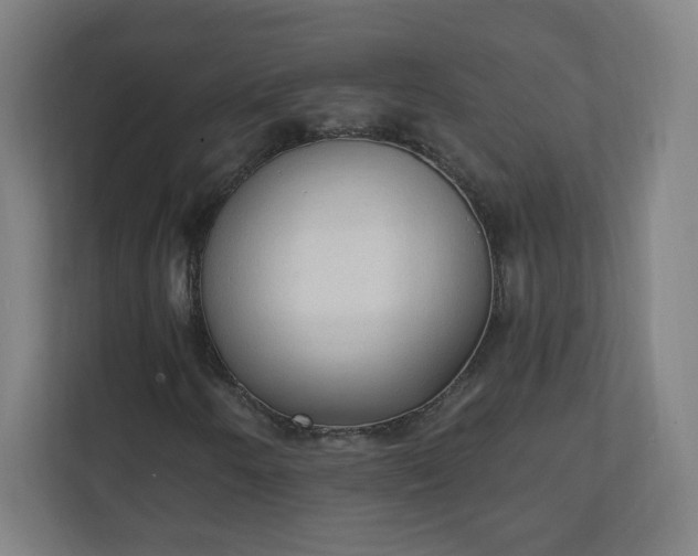 X0000111131250200907071011
