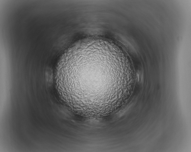 X0000111131251200907071011