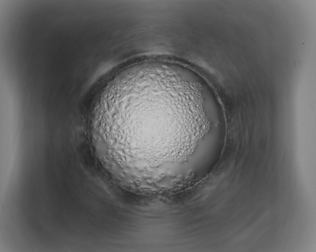 X0000111131255200907071010
