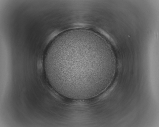 X0000111131259200907071010