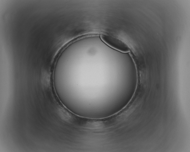 X0000111131260200907071010